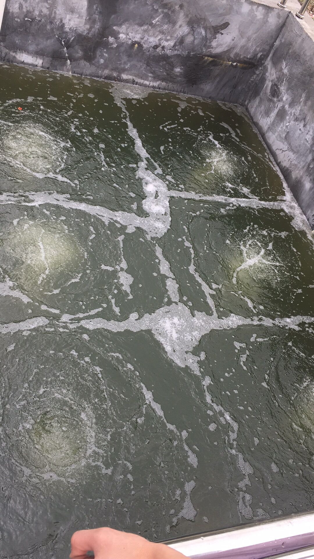 廣東中辰臭氧發(fā)生器應(yīng)用于屠宰場廢水處理除氨氮?dú)⒕? /></div>
<div id=